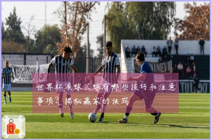 世界杯滚球买球有哪些技巧和注意事项？揭秘赢家的诀窍