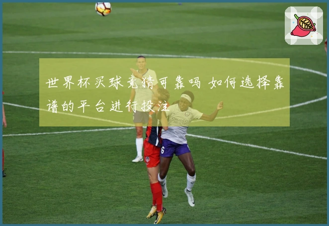 世界杯买球竞猜可靠吗 如何选择靠谱的平台进行投注
